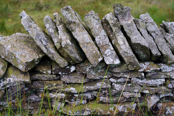 Stone Wall