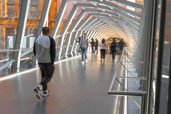 The Bridge Inside