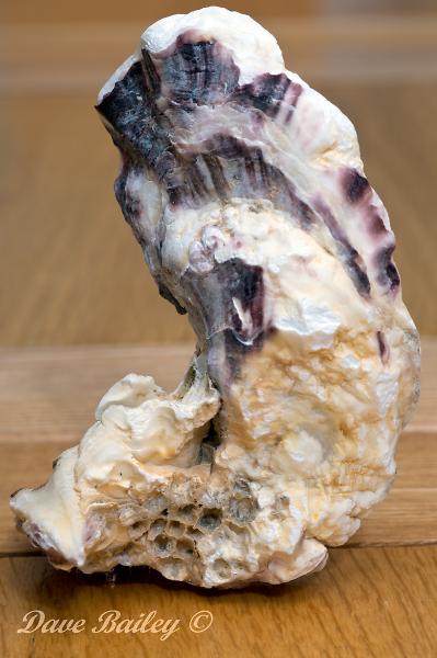 Weathered Oyster.