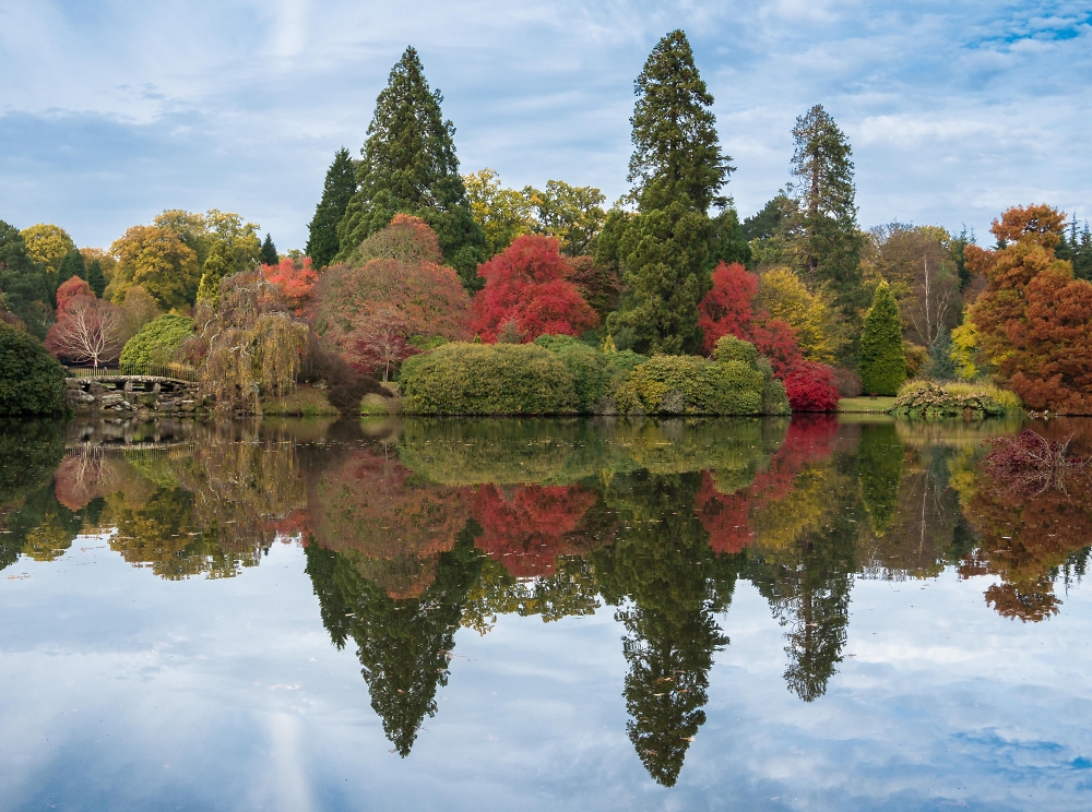 Autumn Colours