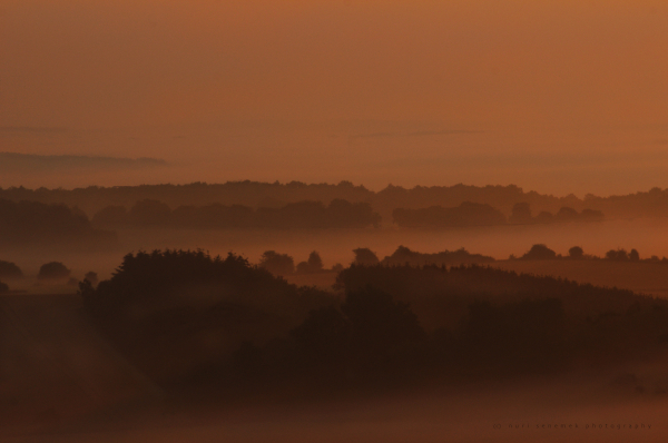 misty morning