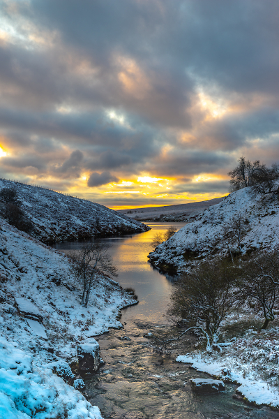 Snowy dawn