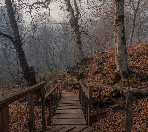 THE AUTUMN IN ARKHYZ