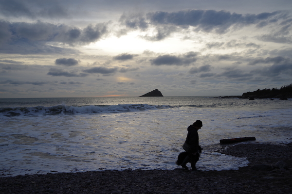 Christmas Day walk
