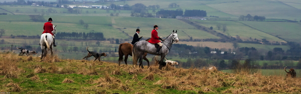 On the Ridge