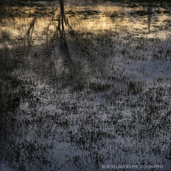 Reflections