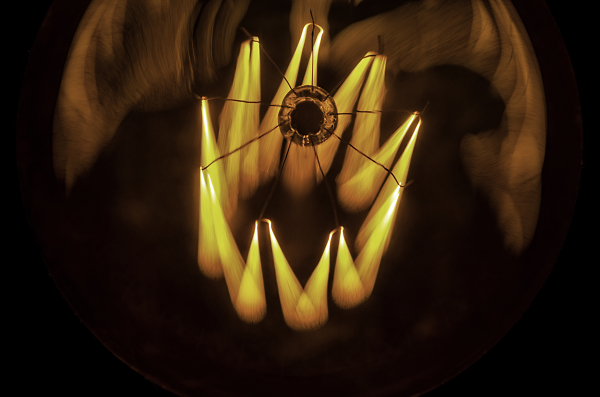 Alien lifeform