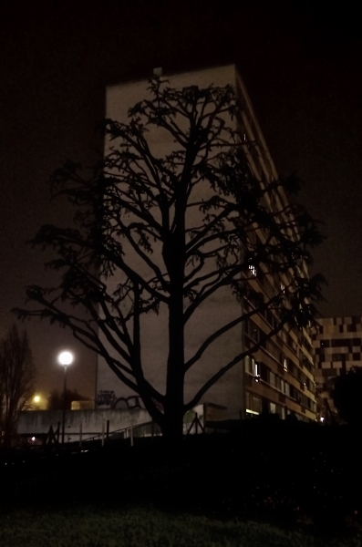 A tree of life of our times