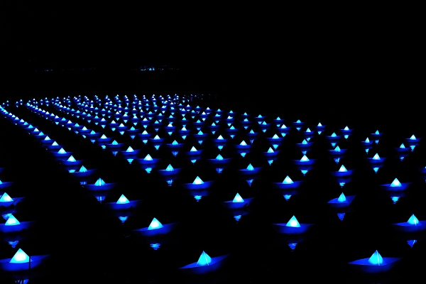 Lights on the Water