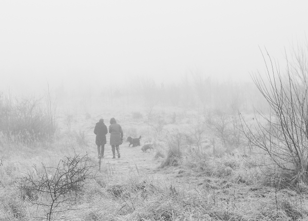 The Dog-Walkers.