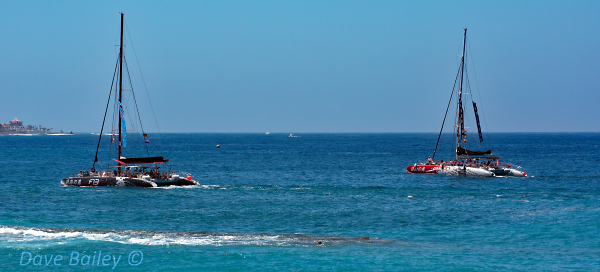 Catamarans off Tenerife.