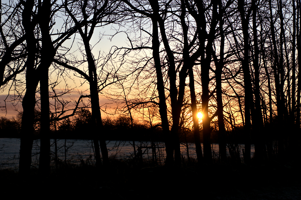 Morning Star