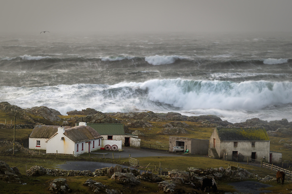 Standing fast against the storm