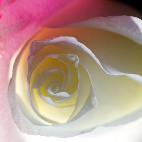 Thriving