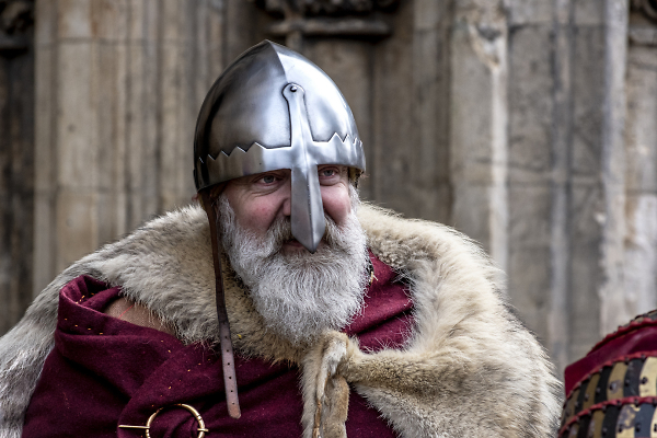 Viking invader