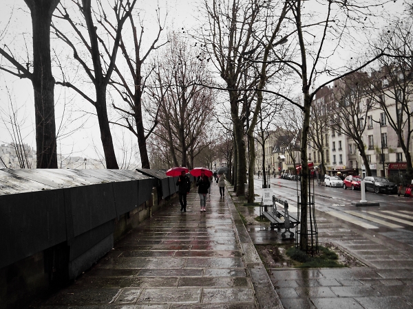 Paris in the rain