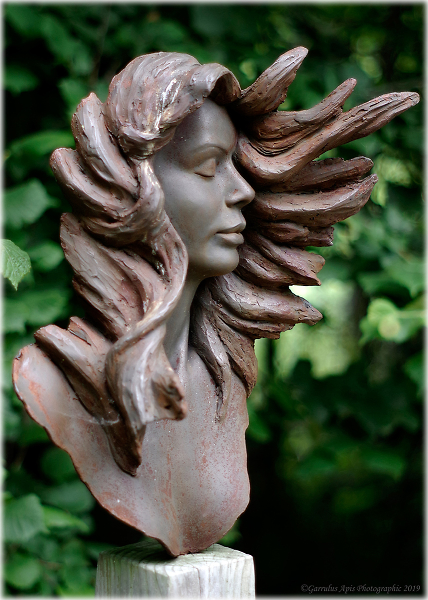 Windblown (frozen in time)