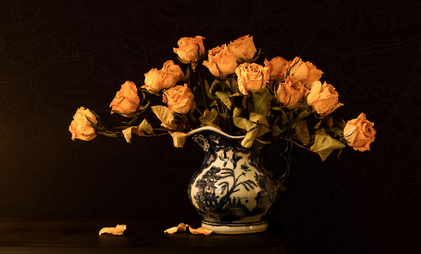 Dried Roses