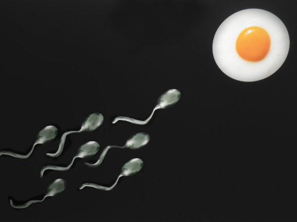 Egg and Spoon Race
