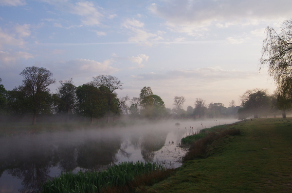 Hampton Wick Pond, Bushy Park