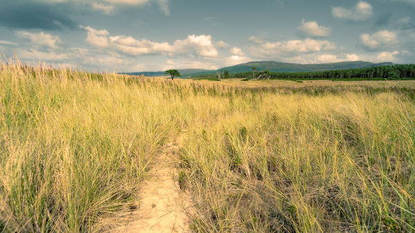 Savanna Highland Style