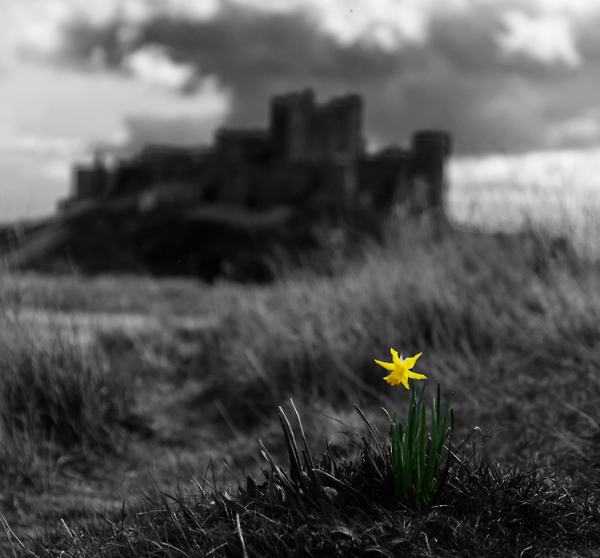 Spring