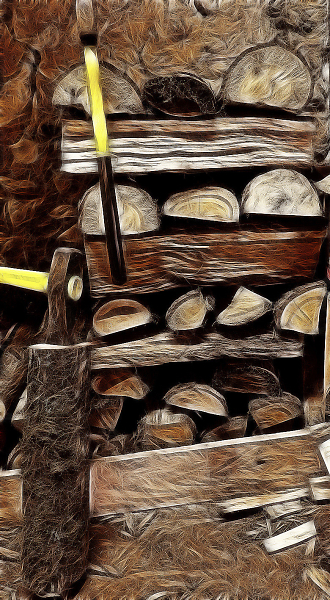 Dry Timber