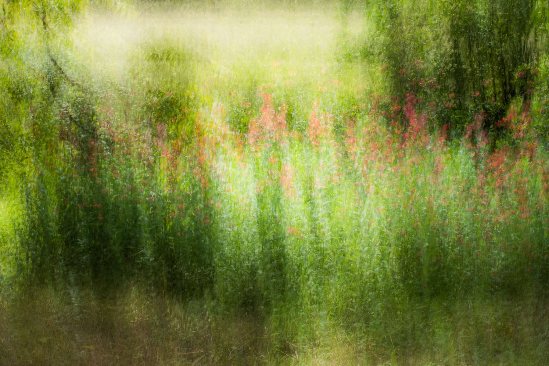 The End of the Garden