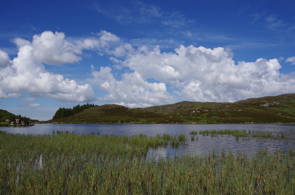 Along the loch shore