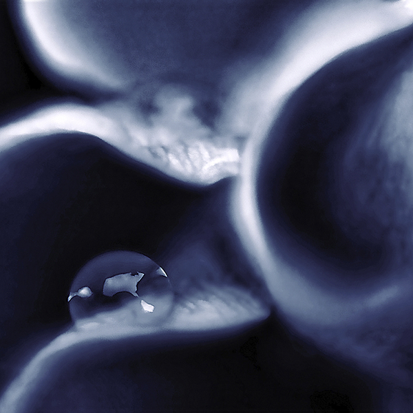 Dewdrop