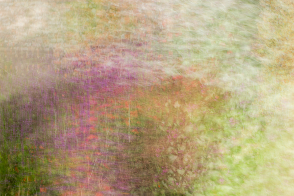 Garden abstract