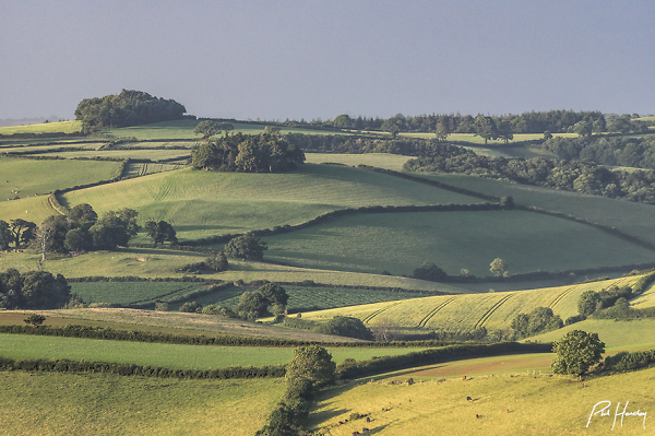 Longcombe Down