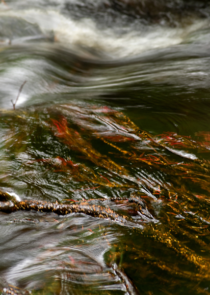Patterns in the flow 2