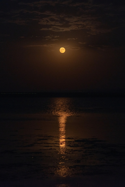 LUNAR PATH