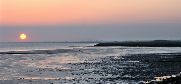 Muted