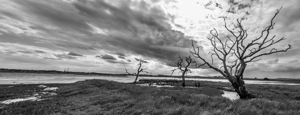 The Orwell Estuary