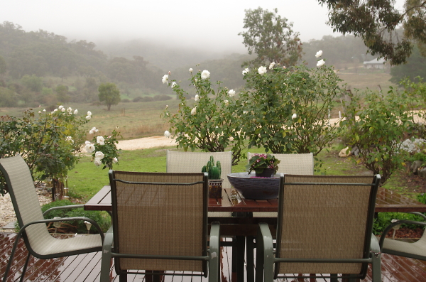 View on to the front porch on a cold early wintermorning in June