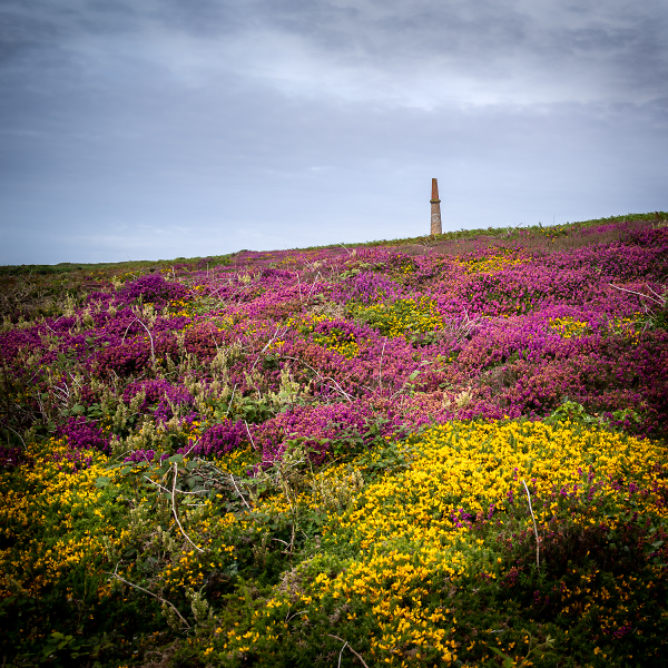 A Cornish Palette for Bob Ross