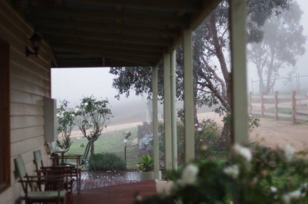 A crispy wintermorning view.