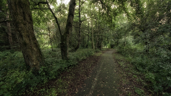 come for a walk