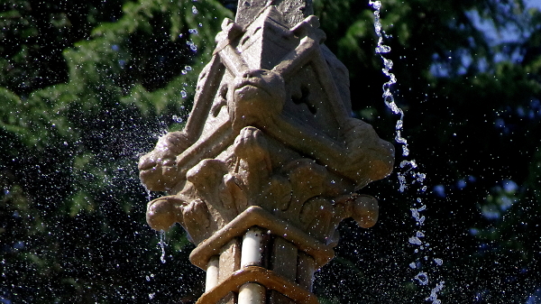 Gargoyles cooling off