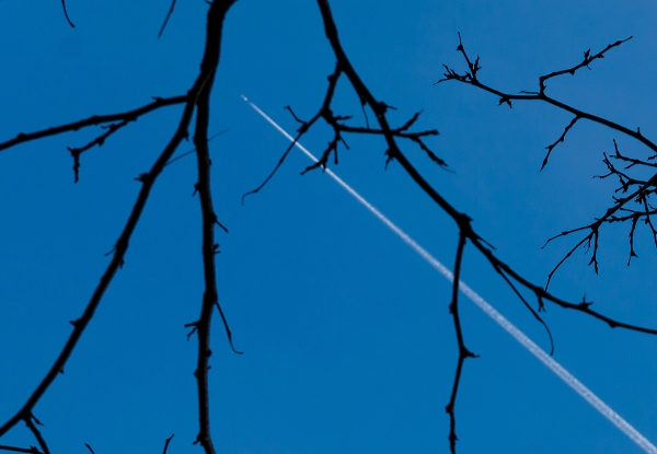 Nature Abhors the Straight Line