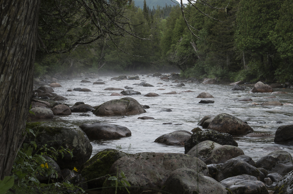 Parc national de la Gaspsie