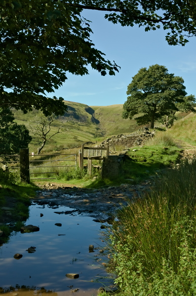 Summer Idyll