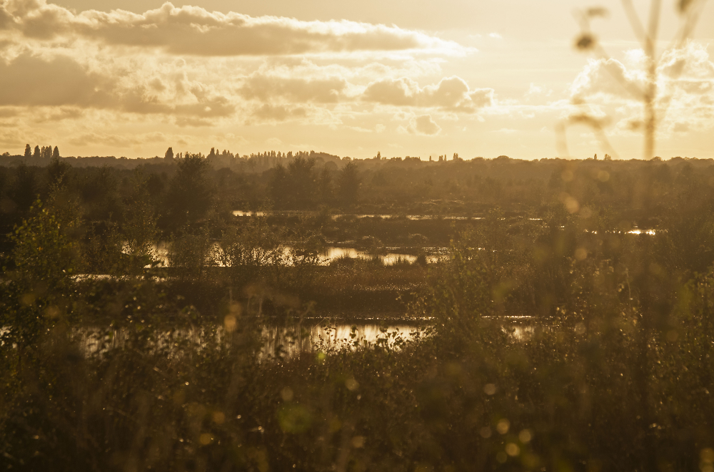 Little Woolden Moss 2; early evening