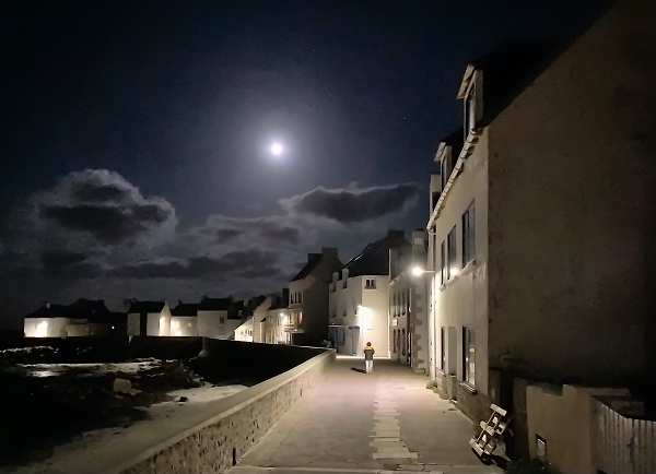 Moonlit night