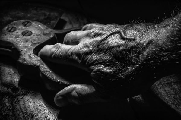 The Woodworker.