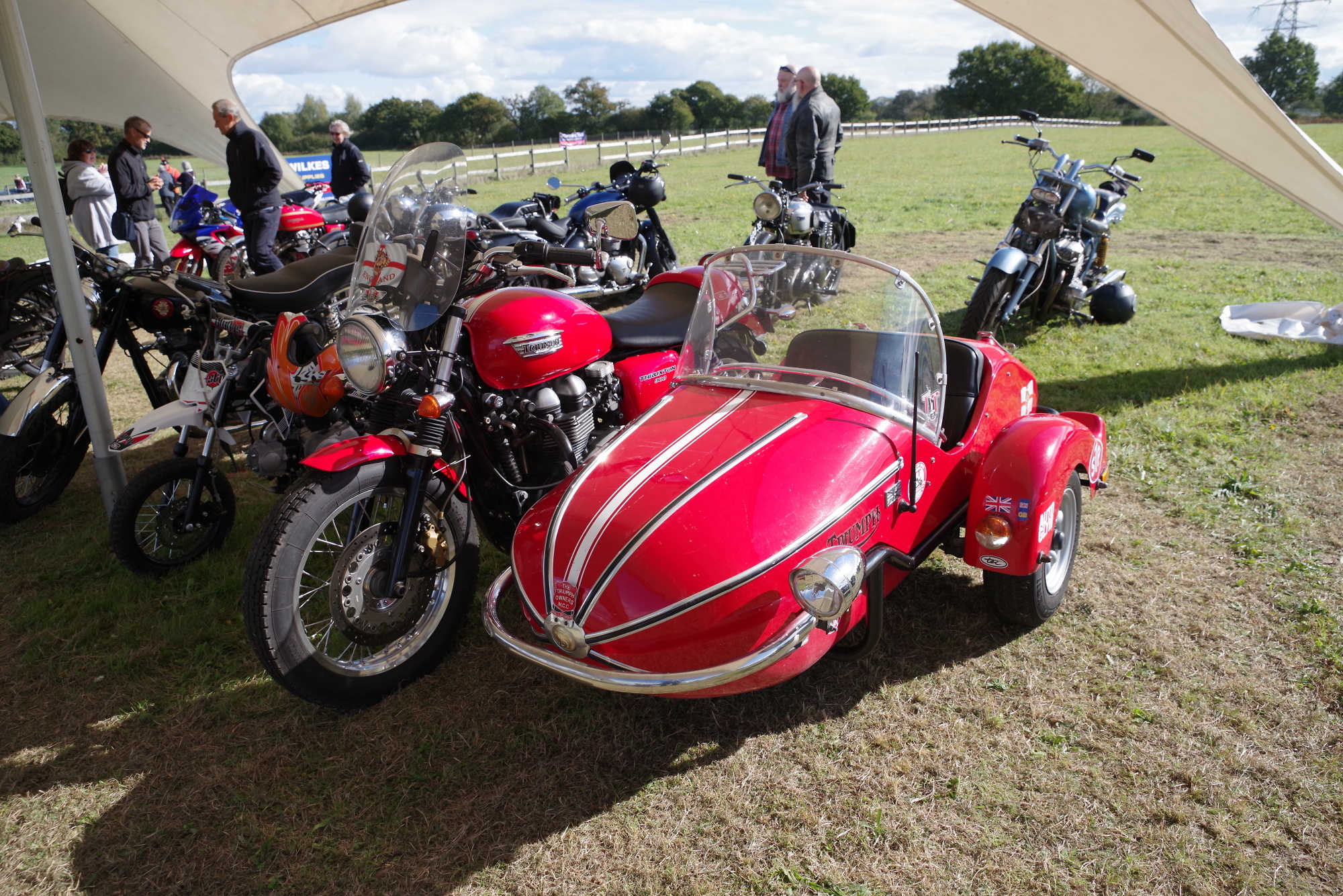 An immaculate Triumph Thruxton with sidecar.