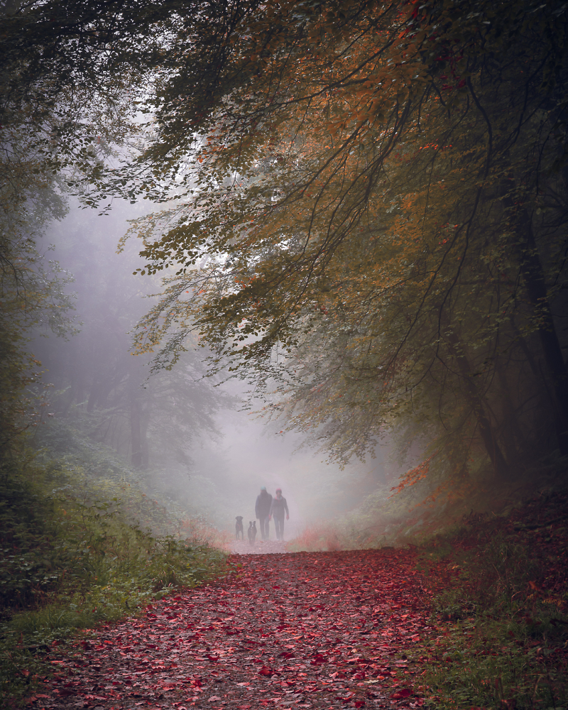 "Walk in the Fog"