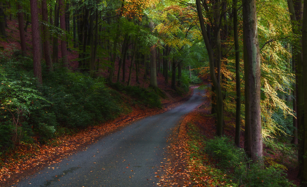 A Return visit to the Long and Winding Road.